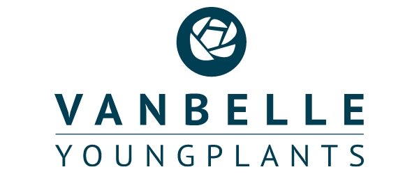 van-belle-youngplants